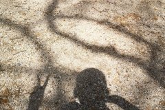 IMG_20240405_134146
