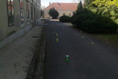 IMG_20240405_142027