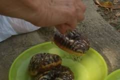 IMG_20240817_151829