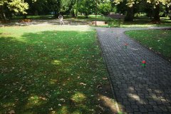 IMG_20240827_114829