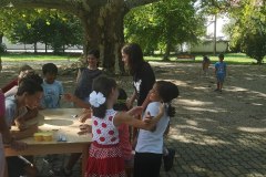 IMG_20240827_151130
