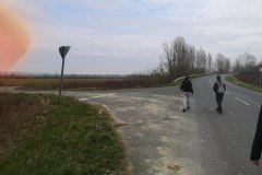 IMG_20240309_110449