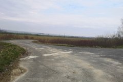 IMG_20240309_110458