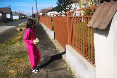 IMG_20240317_101346