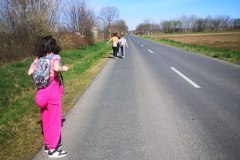 IMG_20240317_112608