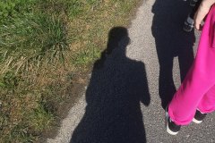IMG_20240317_112731