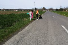 IMG_20240317_121943
