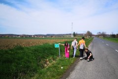 IMG_20240317_121950