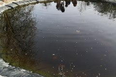 IMG_20240330_163523