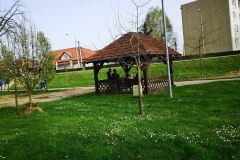 IMG_20240330_163936