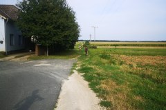 IMG_20240822_173458