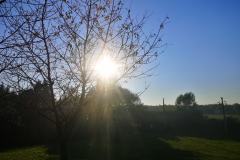 IMG_20240923_172200