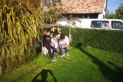IMG_20241023_105529