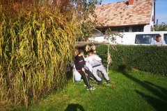 IMG_20241023_105549