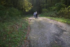 IMG_20241023_125344