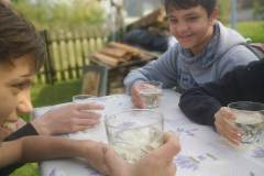 IMG_20241023_131914