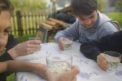IMG_20241023_131916