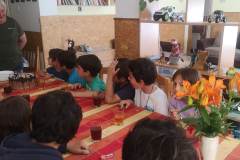 IMG_20240524_155415